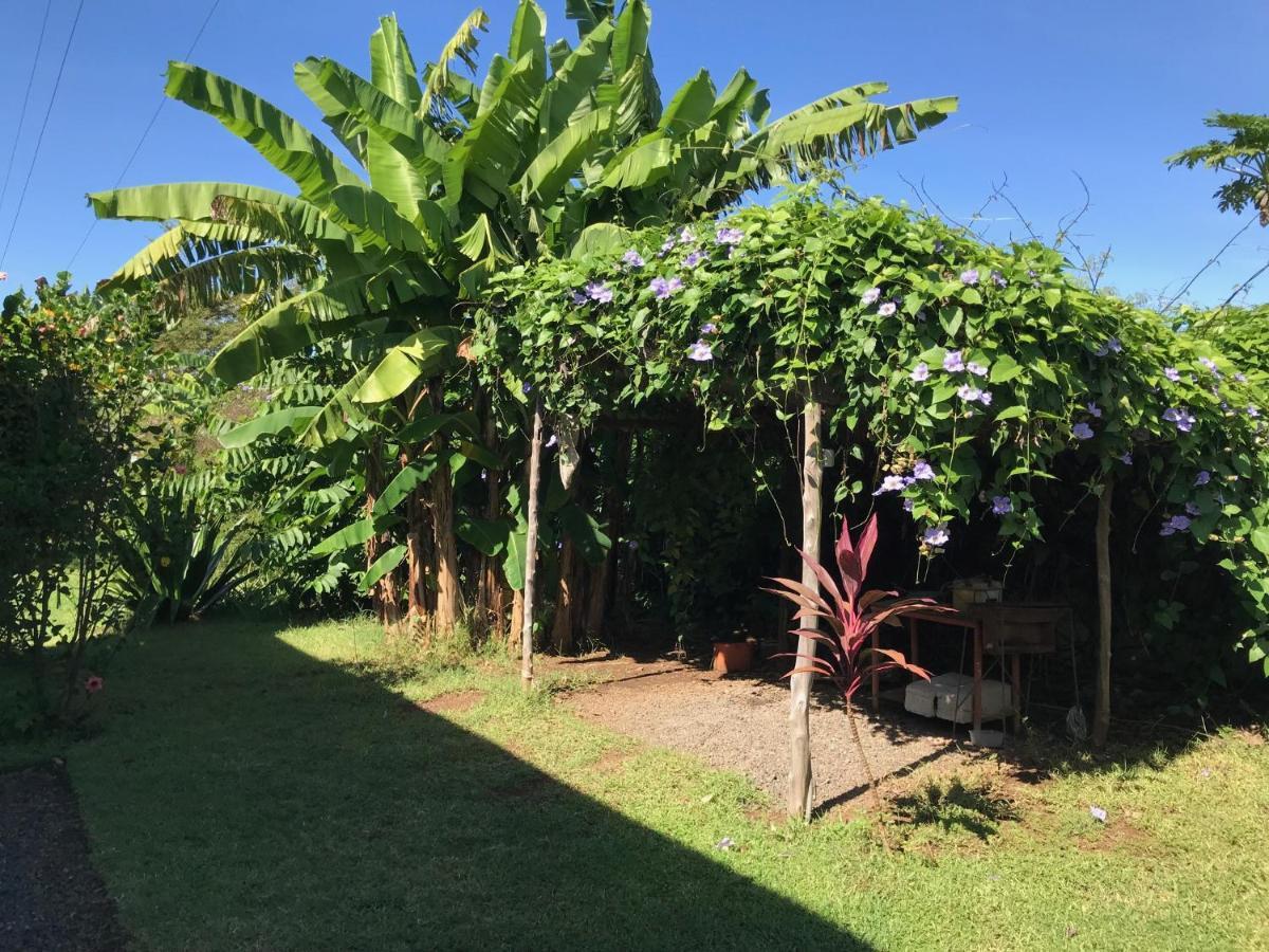 Les Hibiscus Villa Ambondrona  Exterior photo